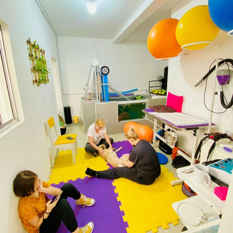 Centro de Reabilitação Veterinário - Fisioterapia, Ortopedista, Acupuntura e mais