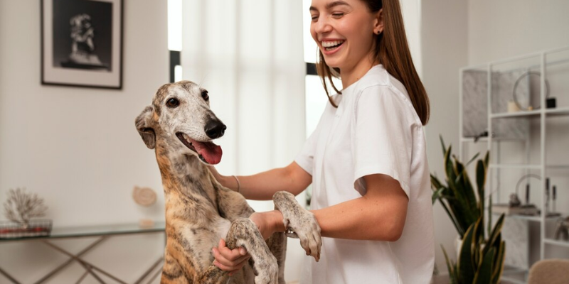Cão recuperado com Fisioterapia Animal