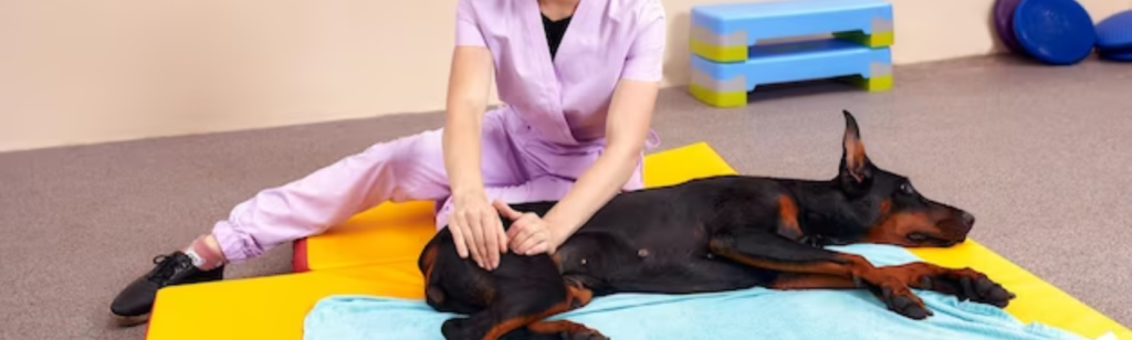 Fisioterapia Veterinária - CERVET