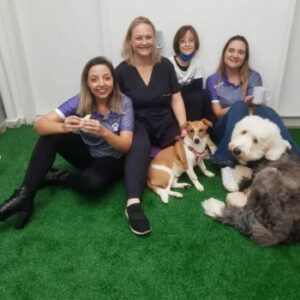 Acupuntura PetLove (2)