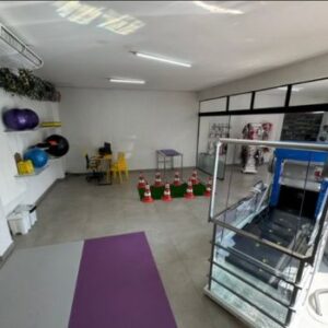 Fisioterapia PetLove (2)