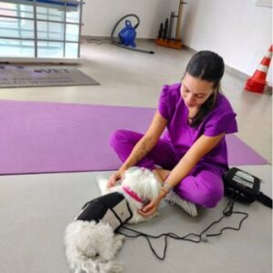 Fisioterapia para Gatos (1)