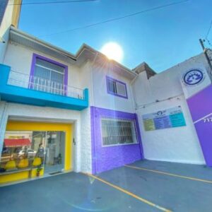 Veterinário Fisioterapeuta (2)