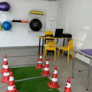 Veterinário Fisioterapeuta (3)