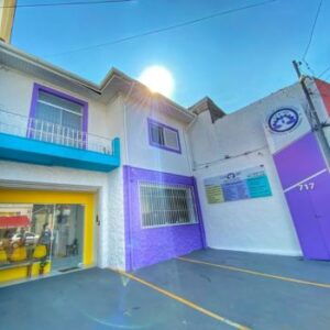 Veterinário neurologista para cães (3)